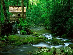 Reagan Mill, Roaring Fork, Great Smoky Mountains National Park, Tennessee
